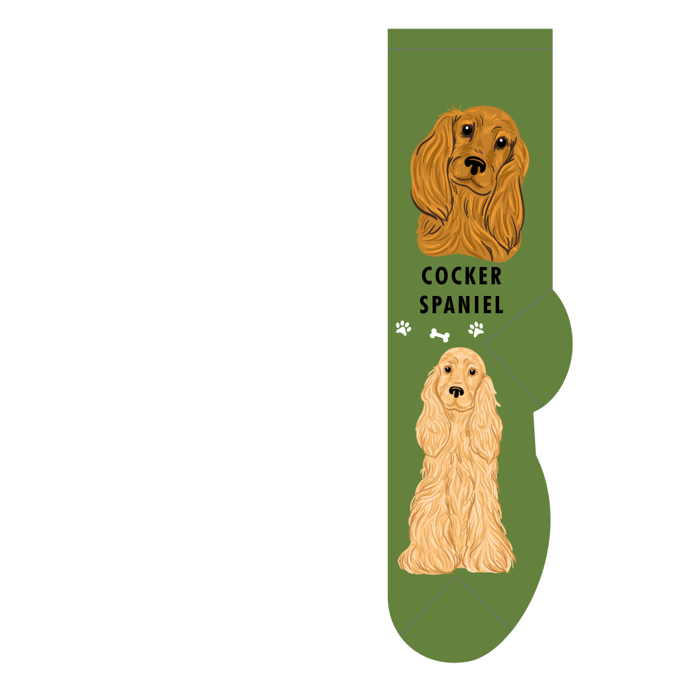 Cocker Spaniel