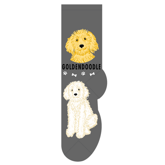 Goldendoodle